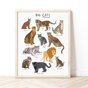 Big Cats Poster, DschungelKatzen, Dschungel Poster, Wild Cats Print, Raubkatzen Poster, Leopard Poster, Tropischer Druck, Gepard Illustration, Kinderzimmer