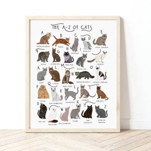 A-Z of Cats Poster, Cats Alphabet, Cat Poster Illustration, Pet Illustration, Cat Lovers Gift, Cat Poster, Cat Print, Cat Breeds Chart, Cats