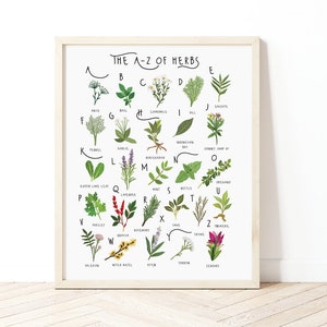 A-Z of Herbs Poster, Kitchen Alphabet, Herbs Poster Illustration, Kitchen Illustration, Plant Lovers Gift, Herbs Poster, Gift for a Chef
