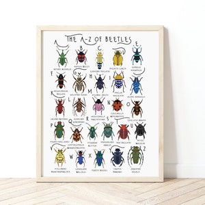 A-Z Of Beetles Poster, Beetles Species Print, Beetles Poster, Bug Gift, Bugs and Beetles Print, Types of Beetles, Nursery Decor, Bug Poster