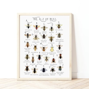 A-Z Of Bees, Bee Print, Types of Bees Art, Alphabet Poster, Bee lover gift, Bee Poster, A-Z of Bumble Bees, Bee Illustration, Bee gift, Bees