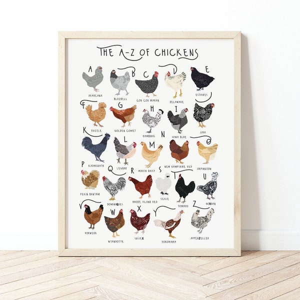 A-Z Of Chickens Poster, Chicken Print, Chicken Breeds Art, Alphabet Poster, Chicken lover gift, Chicken Poster, A-Z of Chicken Breeds, Print