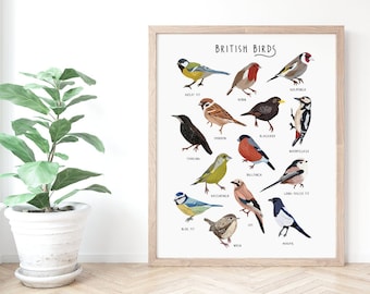 British Birds Poster, Bird Identification Print, Natural History Poster, Bird Illustration, Type of birds, Bird lovers gift, Bird watching