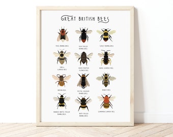 Great British Bees, Bumblebee Print, Bee Poster, Bee Identification Chart, British Bees, Insect Print, Types of Bees, Natural History Print