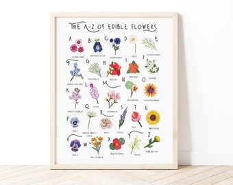 A-Z of Edible Flowers Poster, Flowers Alphabet, Flowers Poster Illustration, Foraging Illustration, Plant Lovers Gift, Flowers Poster