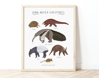 Long-nosed Creatures poster, Pangolin Print, Anteater print, Animal prints, Nursery wall art, Kids room decor, Cute animal poster, Creatures