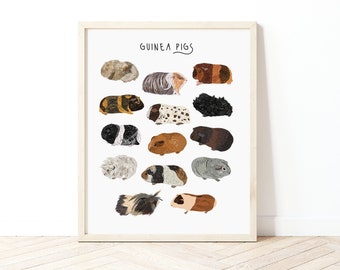 Cavia Poster, Soorten Cavia's, Cavia Gift, Cavia Illustratie, Huisdier Geschenken, Cavia Rassen, Kavia porcellus, Leuke kunst