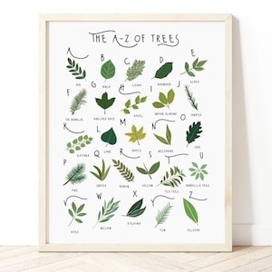 A-Z der Bäume, Alphabet Druck, Baum Identifikationsposter, britische Flora Druck, Baum Geschenk, Baum Druck, Arten von Bäumen, Kinderzimmer Wanddekoration