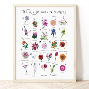 A-Z von Gartenblumen, botanischer Druck, Blumendruck, britische Flora Poster, Gartengeschenk, Blumenidentifikation, Floral Poster, neues Zuhause