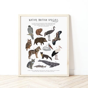 British Native Species Poster, British Animals Poster, Re-wilding print, Darwin Poster, Animal Print, Native Species Poster, Montessori Druck