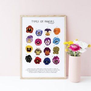 Soorten viooltjes afdrukken, Viooltje illustratie, bloem grafiek print, tuinieren poster, Viooltje cadeau, Viooltje kunst aan de muur, Natuur poster, Bloem print