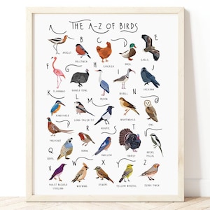 Póster de aves de la A a la Z, impresión de especies de aves, póster de aves, regalo para amantes de las aves, impresión de aves, tipos de aves, decoración de guardería, impresión de observación de aves