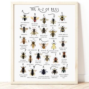A-Z der Bienen, Bienenarten, Bienenarten, Alphabet Poster, Geschenk für Bienenliebhaber, Bienenposter, A-Z von Hummeln, Bienenillustration, Bienengeschenk, Bienen
