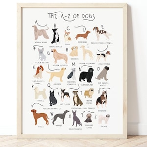 Affiche chiens de A à Z, alphabet pour chiens, illustration d'affiche de chien, illustration d'animal de compagnie, cadeau pour les amoureux des chiens, affiche de chien, impression de chien, tableau de races de chiens, chiens