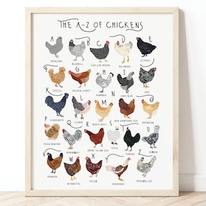 A-Z von Hühnern Poster, Huhn Druck, Hühnerrassen, Alphabet Poster, Huhn Liebhaber Geschenk, Huhn Poster, A-Z von Hühnerrassen, Druck