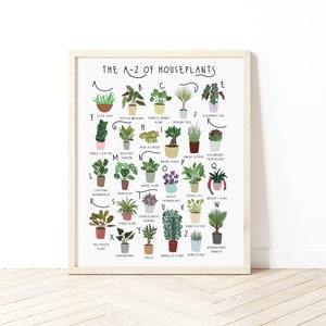 A-Z of Houseplants, Plant poster, House Plants print, Alphabet Print, Plant lovers gift, Types of house plant, New home gift, Plant Poster