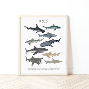 Hai Poster, Haie Poster, Haie Poster, Haie Poster, Haie Poster, Haie Poster, Kinderzimmer Poster, Kinderzimmer Dekoration, Hai Illustration