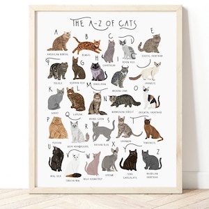 Katzen A-Z Poster, Katzen Alphabet, Katzen Poster Illustration, Haustier Illustration, Katzenliebhaber Geschenk, Katzen Poster, Katzen Print, Katzenrassen Karte, Katzen
