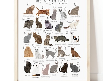 Póster de gatos de la A a la Z, alfabeto de gatos, ilustración de póster de gatos, ilustración de mascotas, regalo para amantes de los gatos, póster de gatos, impresión de gatos, cuadro de razas de gatos, gatos