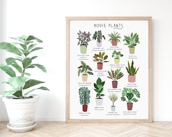 House Plant Poster, House Plant Print, Plants poster, House plant identification print, Botanical Print, Plant Lady, Plant lover gift