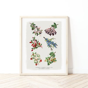 Gardening Gift Flower Print Floral Poster British Flora Poster New home A-Z of Garden Flowers Botanical Print Flower Identification