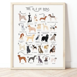 A-Z of Dogs Poster, Dogs Alphabet, Dog Poster Illustration, Pet Illustration, Dog Lovers Gift, Dog Poster, Dog Print, Dog Breeds Chart, Dogs image 2