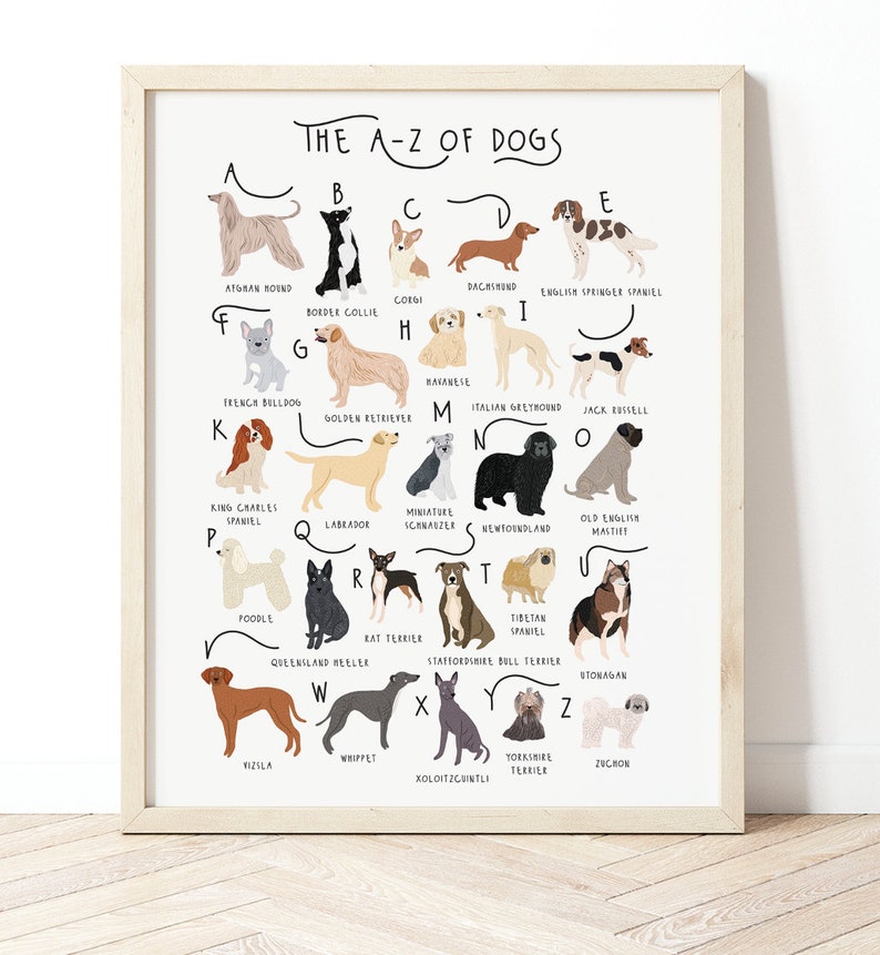 A-Z of Dogs Poster, Dogs Alphabet, Dog Poster Illustration, Pet Illustration, Dog Lovers Gift, Dog Poster, Dog Print, Dog Breeds Chart, Dogs image 2