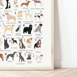 A-Z of Dogs Poster, Dogs Alphabet, Dog Poster Illustration, Pet Illustration, Dog Lovers Gift, Dog Poster, Dog Print, Dog Breeds Chart, Dogs image 5