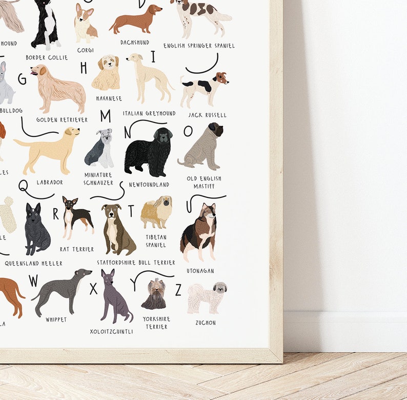 A-Z of Dogs Poster, Dogs Alphabet, Dog Poster Illustration, Pet Illustration, Dog Lovers Gift, Dog Poster, Dog Print, Dog Breeds Chart, Dogs image 5