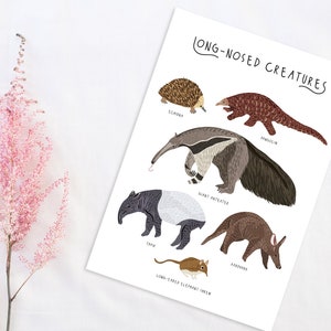 Póster de criaturas de nariz larga, impresión de pangolín, impresión de oso hormiguero, impresiones de animales, arte de pared para guardería, decoración de habitación infantil, póster de animales lindos, criaturas imagen 4