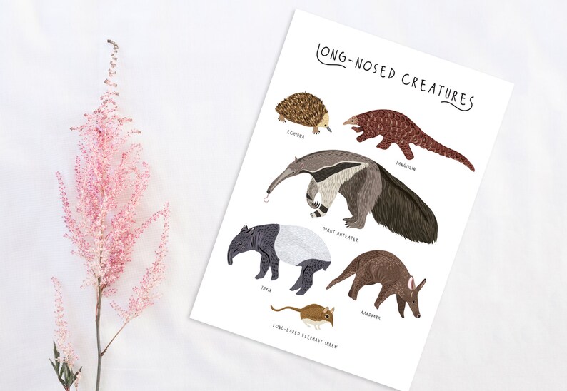 Póster de criaturas de nariz larga, impresión de pangolín, impresión de oso hormiguero, impresiones de animales, arte de pared para guardería, decoración de habitación infantil, póster de animales lindos, criaturas imagen 4