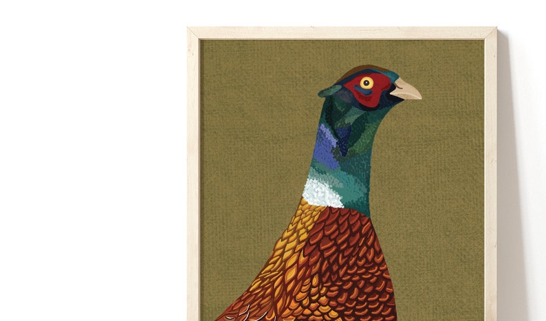 May include: A framed illustration of a pheasant with a green, blue, and white neck and a brown, orange, and yellow body. The pheasant is set against a green background.