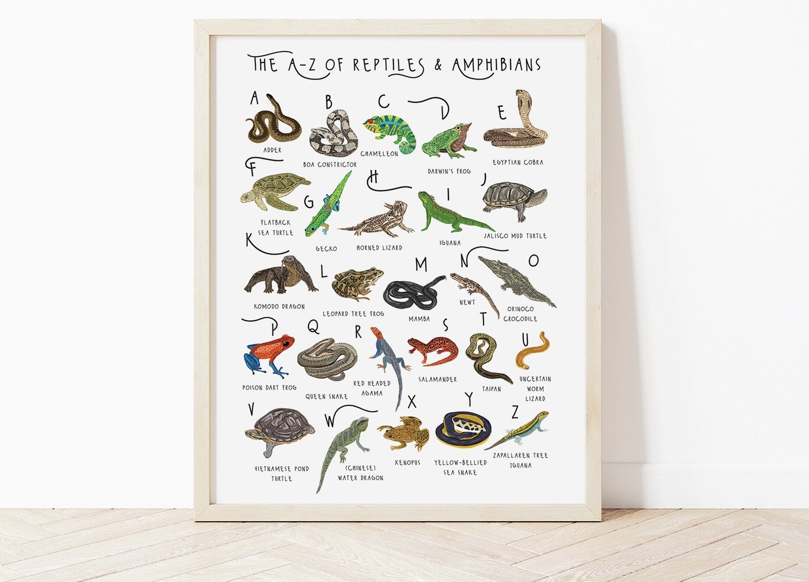 A-Z of Reptiles & Amphibians Poster, Alphabet Print