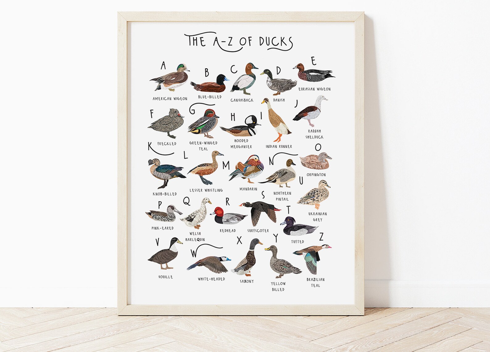 AZ of Ducks Poster Ducks Alphabet Duck Poster Illustration Etsy UK