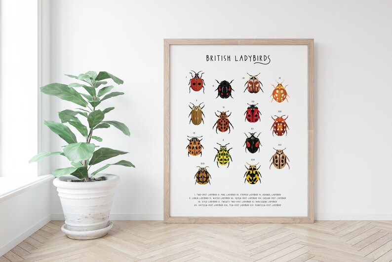British Ladybirds Poster, Ladybird Identification Print, Natural ...
