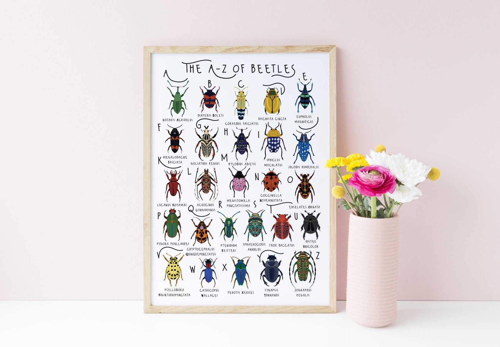A-Z of Beetles Poster Beetles Species Print Beetles Poster - Etsy UK