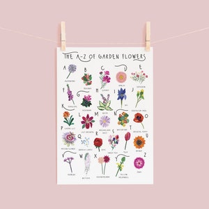 May include: A decorative print, "The A-Z of Garden Flowers", displays an illustrated alphabet of garden flowers. The print is held by a wooden peg against a pale pink backdrop. Each flower is labelled, making it an educational and decorative item for the home.