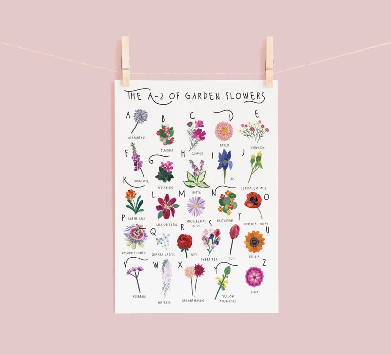 May include: A decorative print, "The A-Z of Garden Flowers", displays an illustrated alphabet of garden flowers. The print is held by a wooden peg against a pale pink backdrop. Each flower is labelled, making it an educational and decorative item for the home.