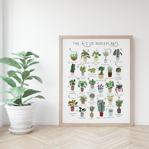 以下が含まれることがあります： 「The A-Z of Houseplants」というタイトルの白い額縁付きポスターで、アルファベット順に並んださまざまな観葉植物のイラストが描かれています。