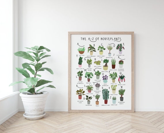 A-Z von Zimmerpflanzen, Pflanzenposter, Zimmerpflanzen Druck, Alphabet  Druck, Geschenk fr Pflanzenliebhaber, Arten von Zimmerpflanzen, Neues  Wohngeschenk, Pflanzenposter - Etsy.de