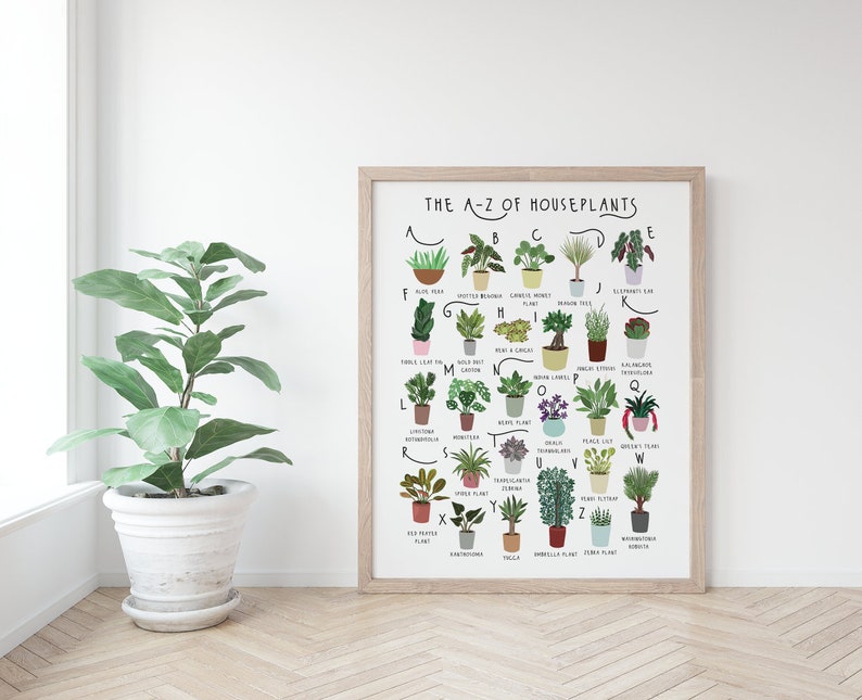 以下が含まれることがあります： 「The A-Z of Houseplants」というタイトルの白い額縁付きポスターで、アルファベット順に並んださまざまな観葉植物のイラストが描かれています。