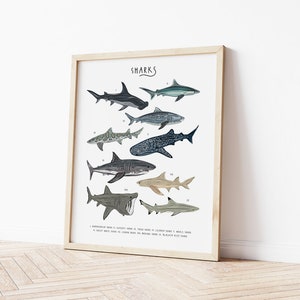 May include: A printable poster featuring illustrations of various shark species. The poster is titled "SHARKS" and includes the names of each shark type.