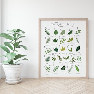 A-Z of Trees, Alphabet Print, Tree Identification Poster, British Flora ...