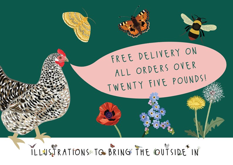 May include: A green background with a spotted hen, a pink speech bubble with the text "FREE DELIVERY ON ALL ORDERS OVER TWENTY FIVE POUNDS!" and various illustrations of flowers, butterflies, and a bee. The text at the bottom reads "ILLUSTRATIONS TO BRING THE OUTSIDE IN".