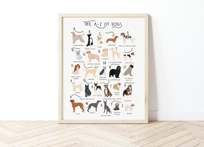 A-Z of Dogs Poster, Dogs Alphabet, Dog Poster Illustration, Pet Illustration, Dog Lovers Gift, Dog Poster, Dog Print, Dog Breeds Chart, Dogs image 1
