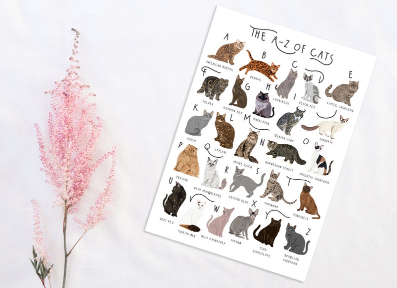 AZ of Cats Poster Cats Alphabet Cat Poster Illustration Etsy UK