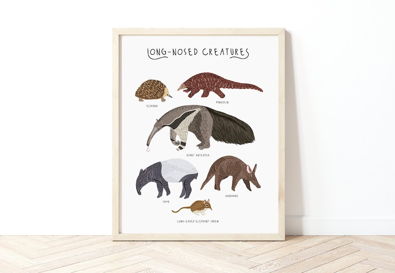 Póster de criaturas de nariz larga, impresión de pangolín, impresión de oso hormiguero, impresiones de animales, arte de pared para guardería, decoración de habitación infantil, póster de animales lindos, criaturas imagen 1