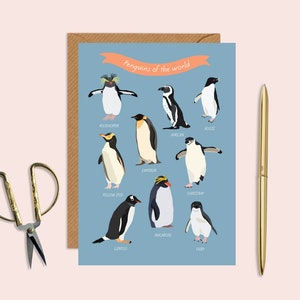 Tipi di pinguini carta, Pinguini Saluti biglietto d'auguri, qualsiasi carta di occassion, pinguini carino, pinguino carta, pinguini del mondo, pinguino regalo