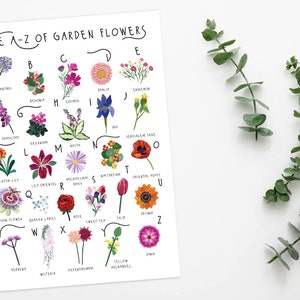 May include: A botanical print titled "The A-Z of Garden Flowers" featuring colourful illustrations of various flowers, each labelled with a letter of the alphabet. Green eucalyptus sprigs are arranged on a white background.