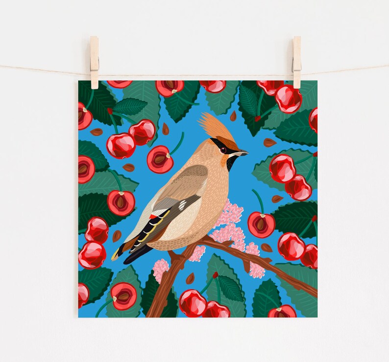 Waxwing Print, Wild Bird print, Quirky Bird art, Waxwing Bird art, Bird poster, wall art, home decor, gifts, animal lovers art, Birds Poster image 3